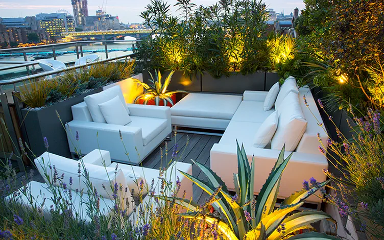 Rooftop lounge garden at dusk